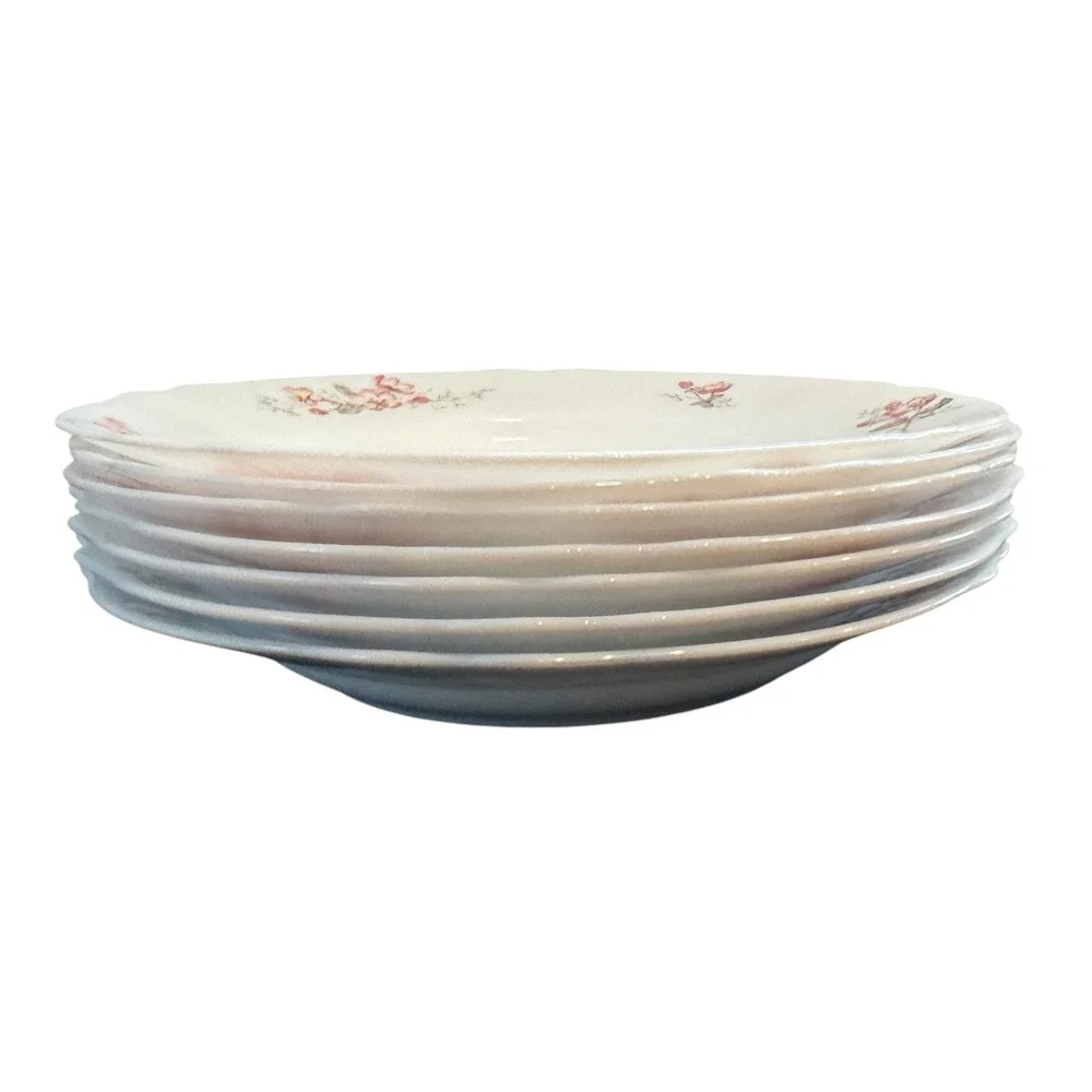 Arcopal france pink